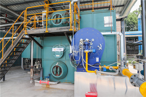 撫順20T燃油鍋爐