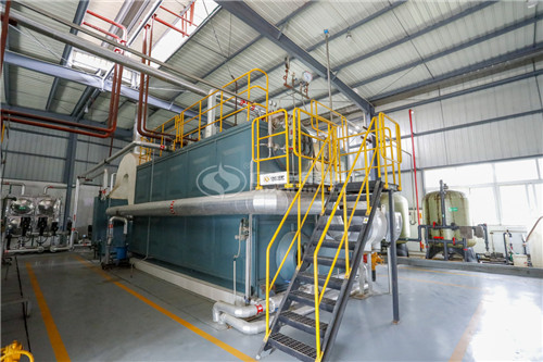 福建50T燃油鍋爐