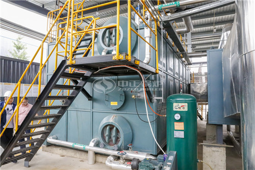 吉林30T燃油鍋爐